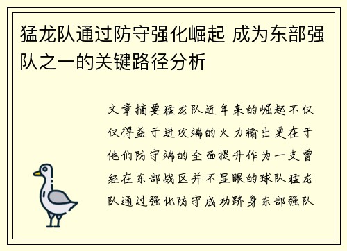 猛龙队通过防守强化崛起 成为东部强队之一的关键路径分析